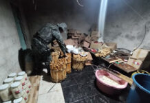 Homem que mantinha fábrica clandestina de palmito é multado em R$ 895,5 mil no interior de SP