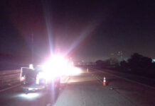 Idoso morre após ser atropelado na rodovia Padre Manoel da Nóbrega; motorista fugiu